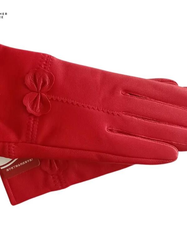 Ladies Fashionable Wool-lined Leather Gloves for Winter